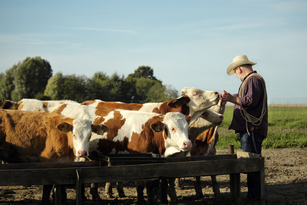Farmer and rancher