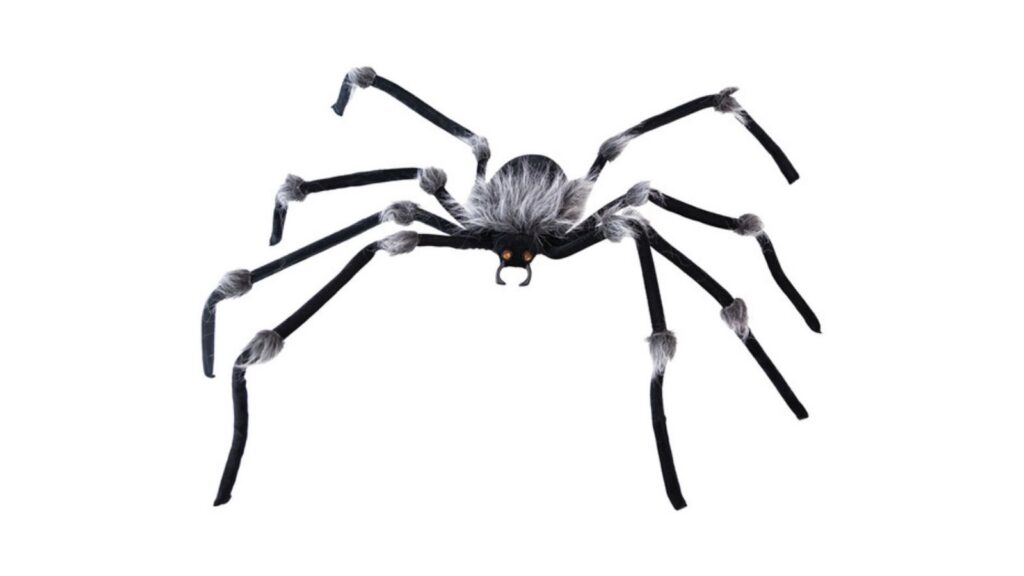 spider
