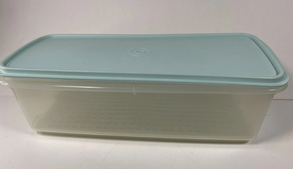 Tupperware celery keeper with mint green lid